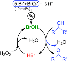 Proposed mechanism for the oxidation of alcohols.