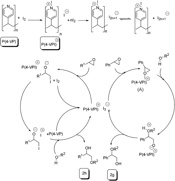 A plausible mechanism for the reaction.