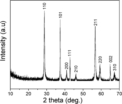 XRD pattern of the synthesized β-MnO2 NRs.