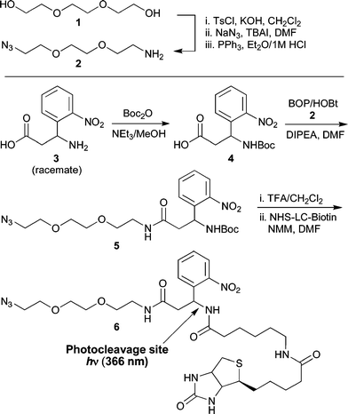 Synthesis of photocleavable tag 6 (note: 3-amino-3-(2-nitrophenyl)-propionic acid is obtained commercially as the racemate resulting in the production of 6 as a diastereomeric mixture).