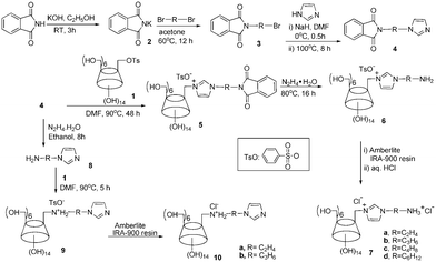 Synthetic route for dually cationic CDs.