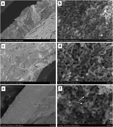 SEM characterization of dealloyed Al2Au samples in 1 M NaCl solution at temperatures of (a) and (b) 270 K, (c) and (d) 290 K, (e) and (f) 340 K. (The dealloying conditions are given in Table 2).