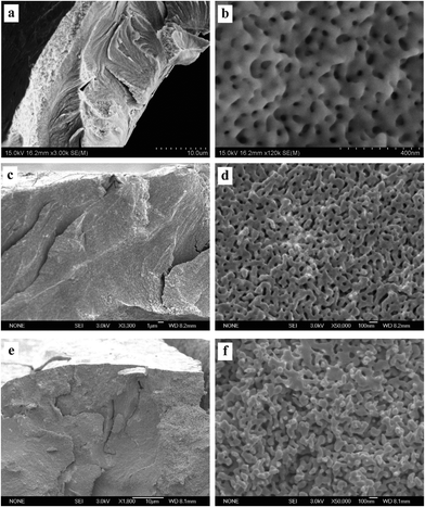 SEM characterization of dealloyed Al2Au samples in 1 M NaBr solution at temperatures of (a) and (b) 270 K, (c) and (d) 290 K, (e) and (f) 340 K. (The dealloying conditions are given in Table 2).