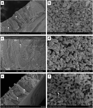 SEM characterization of dealloyed Al2Au samples in 1 M NaI solution at temperatures of (a) and (b) 270 K, (c) and (d) 290 K, (e) and (f) 340 K. (The dealloying conditions are given in Table 2).