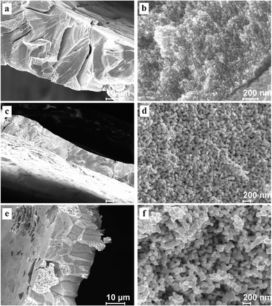 SEM characterization of dealloyed Al2Au samples after dealloying for 1 h at a temperature of 268 K in 1 M (a) and (b) NaCl, (c) and (d) NaBr, (e) and (f) NaI solutions, and room-temperature coarsening for 48 days. (The dealloying conditions are given in Table 2).