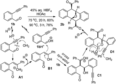 A proposed pathway for the dimerization of 1b.