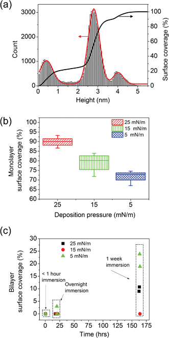 (a) Histogram showing the height distribution (for each pixel of a 256 × 256 pixels image) of a 3 × 3 μm2 mica surface covered with DODAB monolayer and bilayer after ∼7 days of immersion in water. Three clear peaks can be distinguished, corresponding to mica, DODAB monolayers and DODAB bilayers. The red curve shows the Gaussian fits to the peaks. (b) Monolayer coverage on mica for DODAB samples deposited at three different surface pressures, within an hour after immersion in water (data is shown for four samples for each surface pressure and the error bars indicate the range of monolayer surface coverage observed). (c) Bilayer coverage as a function of time after immersion in water for DODAB samples prepared at three different deposition pressures (two samples per deposition pressure).