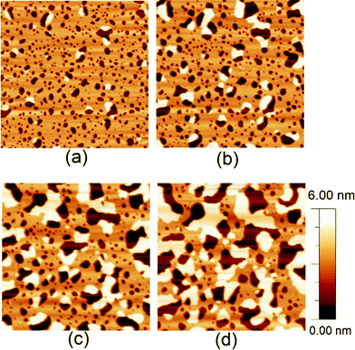 2 x 2 μm2 AFM images of the same area of DODAB-covered mica that shows atypically fast monolayer-to-bilayer switching (see text), imaged during the rearrangement from monolayer to bilayer in water. The images correspond to a) 140 min, b) 180 min, c) 270 min and d) 380 min after immersion of the surface in water.