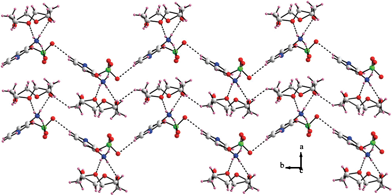 Zig-zag chain-like packing in compound 1. Only one crown ether has been shown for clarity.