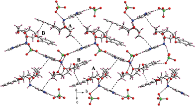 A portion of crystal packing featuring diverse supramolecular contacts in the lattice viewed perpendicular to the bc plane of the unit cell. Hydrogen bonding and the C–H⋯π stacking interactions have been shown by black dashed lines. The lattice water molecules have been omitted for clarity.