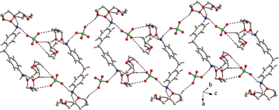 A portion of crystal packing showing various hydrogen bridges in compound 5.