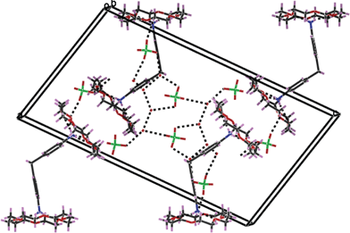 Hydrogen bonded assembly in compound 6.