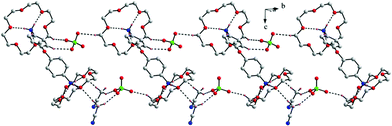 Chain-like packing topology in compound 7.