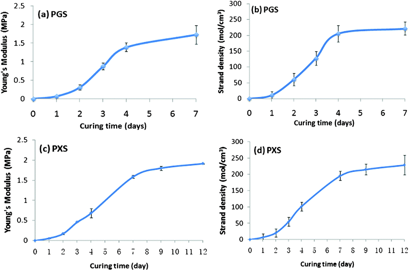 Young’s modulus and strand density of (a)–(b) PGS and (c)–(d) PXS versus curing time.