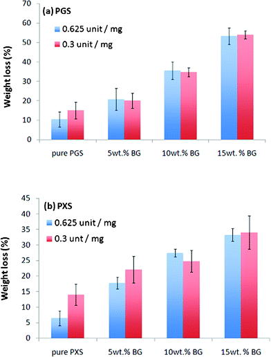 Weight loss of (a) PGS- and (b) PXS-based materials during soaking with addition of esterase being either 0.625 or 0.3 units per mg, which are equivalent to 3 or 1.5 units esterase per mm2, respectively, in the present work.