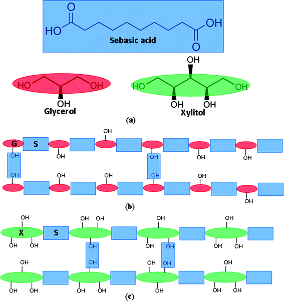 (a) Monomers of sebacic acid, glycerol, and xylitol. Schematic illustrations of (b) PGS and (c) PXS network.