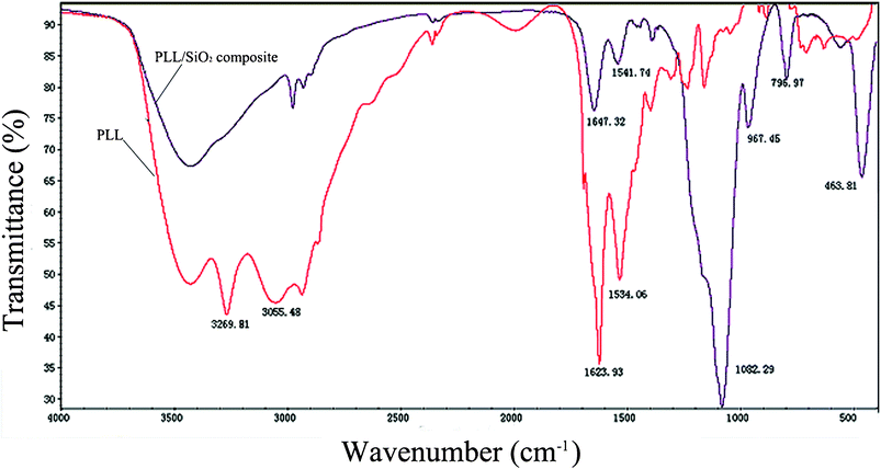 FTIR spectra of PLL3 and PLL3/TEOS composite.