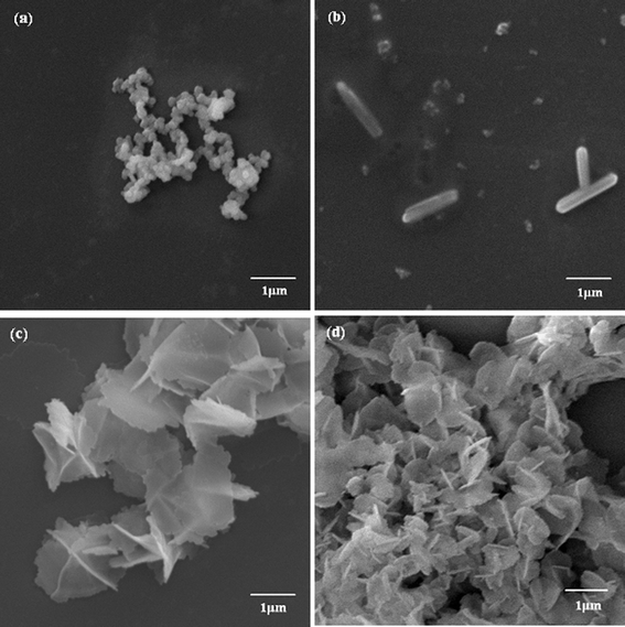 SEM images of biosilica-like produced by PLL3 under different external flow fields (a) under a static condition, (b) in the bubbling state, (c) at a low flow rate, and (d) at a high flow rate.