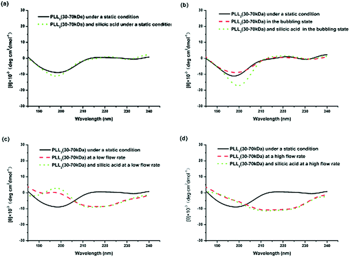 CD spectra of PLL2 under different external fields: (a) under static conditions, (b) in the bubbling state, (c) at a low flow rate, and (d) at a high flow rate.