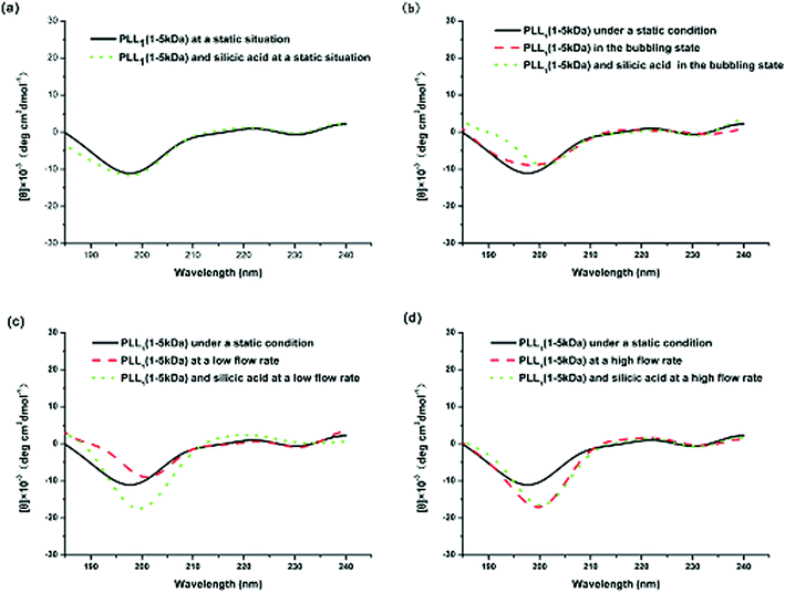 CD spectra of PLL1 under different external fields: (a) under static conditions, (b) in the bubbling state, (c) at a low flow rate, and (d) at a high flow rate.