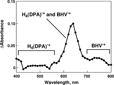 Transient absorption spectrum of H4(DPA) (6.0 × 10−5 M) in the presence of BHV2+ (5.5 × 10−3 M) in deaerated PhCN at 298 K taken at 10 μs after laser excitation at 570 nm.