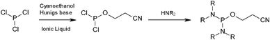 Synthetic pathway to phosphorodiamidite reagents.