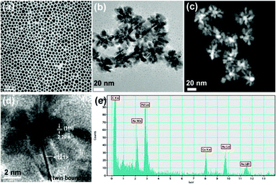 (a) : TEM image of Au NPs with an average diameter of 11.3 (± 1.9) nm, (b) TEM image, (c) STEM image, and (d) HRTEM image of flower shape Au@Pd core-shell NPs. (e) EDS of Au@Pd core-shell NPs with an electron beam at the core Au region.