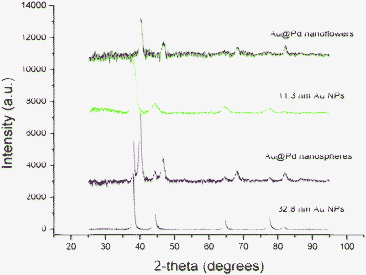 XRD patterns of 11.3 nm (green) and 32.8 nm Au NPs (black), Au@Pd nanoflowers grown from 11.3 nm Au NPs (blue), and Au@Pd nanospheres grown from 32.8 nm Au NPs (red).