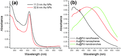 Optical absorbance spectra of (a) gold seed NPs with 11.3 nm diameter (black) and 32.8 nm diameter (red). (b) Au@Pd core-shell nanoflowers (black), nanospheres (red), and nanobranches (green). Absorbance in Fig. 5b was normalized.