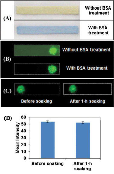 (A) Paper strips with and without BSA treatment after reaction with BPB. (B) Fluorescence images of strips without and with BSA treatment for the detection of IgG. Fluorescence images (C) and their intensity profile (D) of BSA treated paper strips coated with fluorescent PS beads before and after 1 h soaking upon excitation of Cy3 at 532 nm.