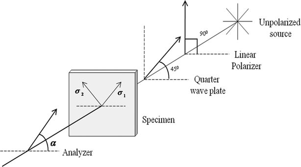 Schematic diagram of a grey-field polariscope (the fast axis of the quarter waveplate is oriented at 45° to the polarization axis of the polarizer to form circularly polarized light)