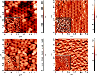 AFM images of height (a and c) and amplitude (b and d) of: (a–b) the multilayer (3D) ZnO micropore array with both types of ROIs (1 and 2); (c–d) the monolayer (2D) region with dense ZnO nanorods (ROI 3). In the inset the corresponding low magnification images (15 × 15 μm2, z = 1 μm (3D) and z = 400 nm (2D)).