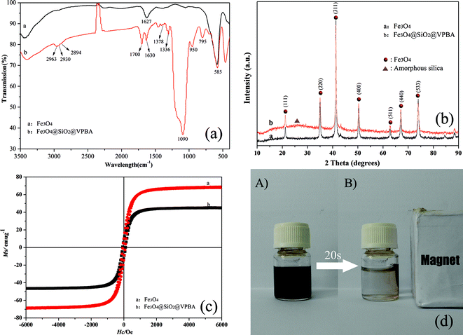 (a) FT-IR spectra of MNPs; (b) XRD patterns of MNPs; (c) Hysteresis loops of MNPs; (d) Magnetic separation-redispersion process of Fe3O4@SiO2@VPBA MNPs.