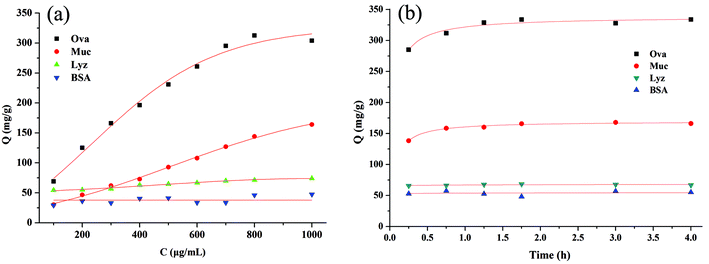 Adsorption isotherms (a) and kinetics (b) for all proteins on MNPs. MNPs: 1 mg; V: 1.0 mL; incubation time: 3 h; other conditions see ESI.