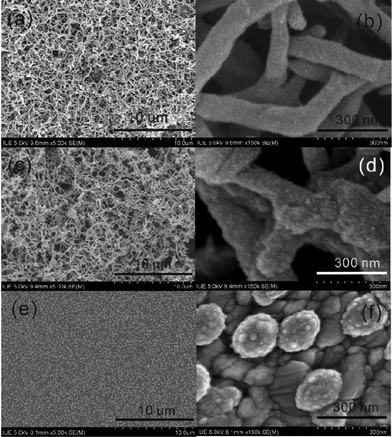 SEM images of the PANI electrode (a, b), PANI/Pt electrode (c, d) and Pt electrode (e, f) at different magnifications.