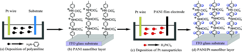 The two-step electrodeposition of the PANI/Pt hybrid electrode.