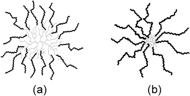 Comparison of structures obtained when a G1 polystyrene substrate is grafted with (a) short and (b) long P2VP side-chains.