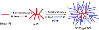 Synthesis of an arborescent polymer (G0PS-g-P2VP) by successive grafting reactions.