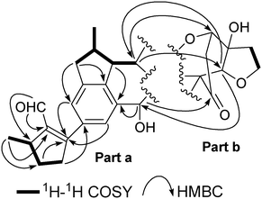 Key 1H–1H COSY and HMBC correlations of incarviatone A (1).