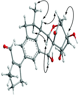 Key NOESY correlations of incarviatone A (1).