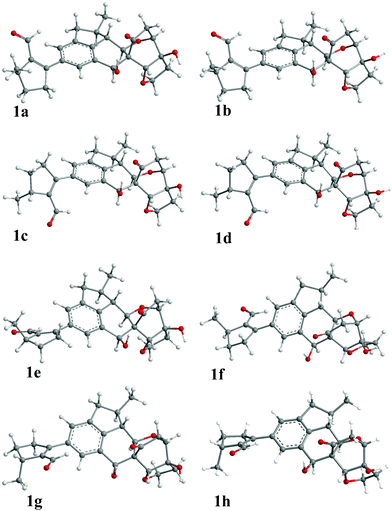 Optimized geometries of predominant conformers of 1 in the gas phase at the B3LYP/6-31G** level.