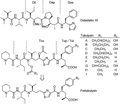 Microtubuli-destabilising peptidic natural products.