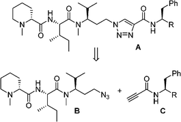 Triazolpretubulysin analogues.