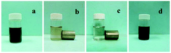 Pictures of the progressive separation of Au/Fe2O3@Al2O3 from the suspension (a) without magnet, (b) upon application of a magnet for 1 min, (c) upon application of a magnet for 10 min and (d) re-dispersion by shaking after removing the magnet.