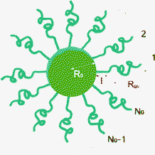 The structure of micelles within the Svaneborg–Pedersen model, eqn (5).22