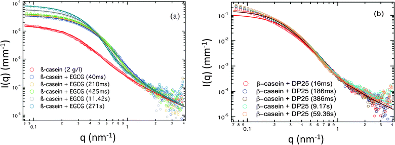 (a) SAXS profile for β-casein (2 g l−1) and the kinetics of β-casein/EGCG (0.4 g l−1 EGCG) at 40 ms, 210 ms, 425 ms, 11.42 s and 271 s. (b) SAXS profile for β-casein (2 g l−1) and the kinetics of β-casein/DP25 (0.4 g l−1 DP25) at 16 ms, 186 ms, 386 ms, 9.17 s and 59.36 s.