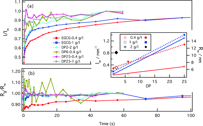 The time evolution of the forward scattering intensity I0 (a) and of the radii of gyration Rg (b) after stopped flow mixing of β-casein and tannins. Both results are obtained by fitting the series of SAXS spectra to the Guinier formula. Equilibrium values of I0 and Rg, called I∞ and R∞, are shown in the inset panel.