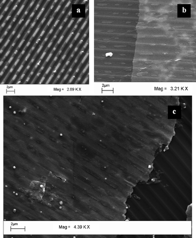 SEM images of the Ag foil of (a) a written CD, (b) thin film generated from silver foil of a written CD, (c) a large area image showing the writing pattern more distinctly.