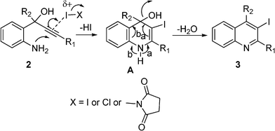 A plausible mechanism for the formation of iodoquinolines.