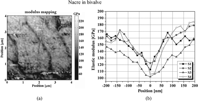 (a) Map of elastic modulus taken from the nacre layer at a depth of 300 μm beneath the inner surface of the bivalve shells of Perna canaliculus; (b) the modulus change across organic–inorganic interfaces.110